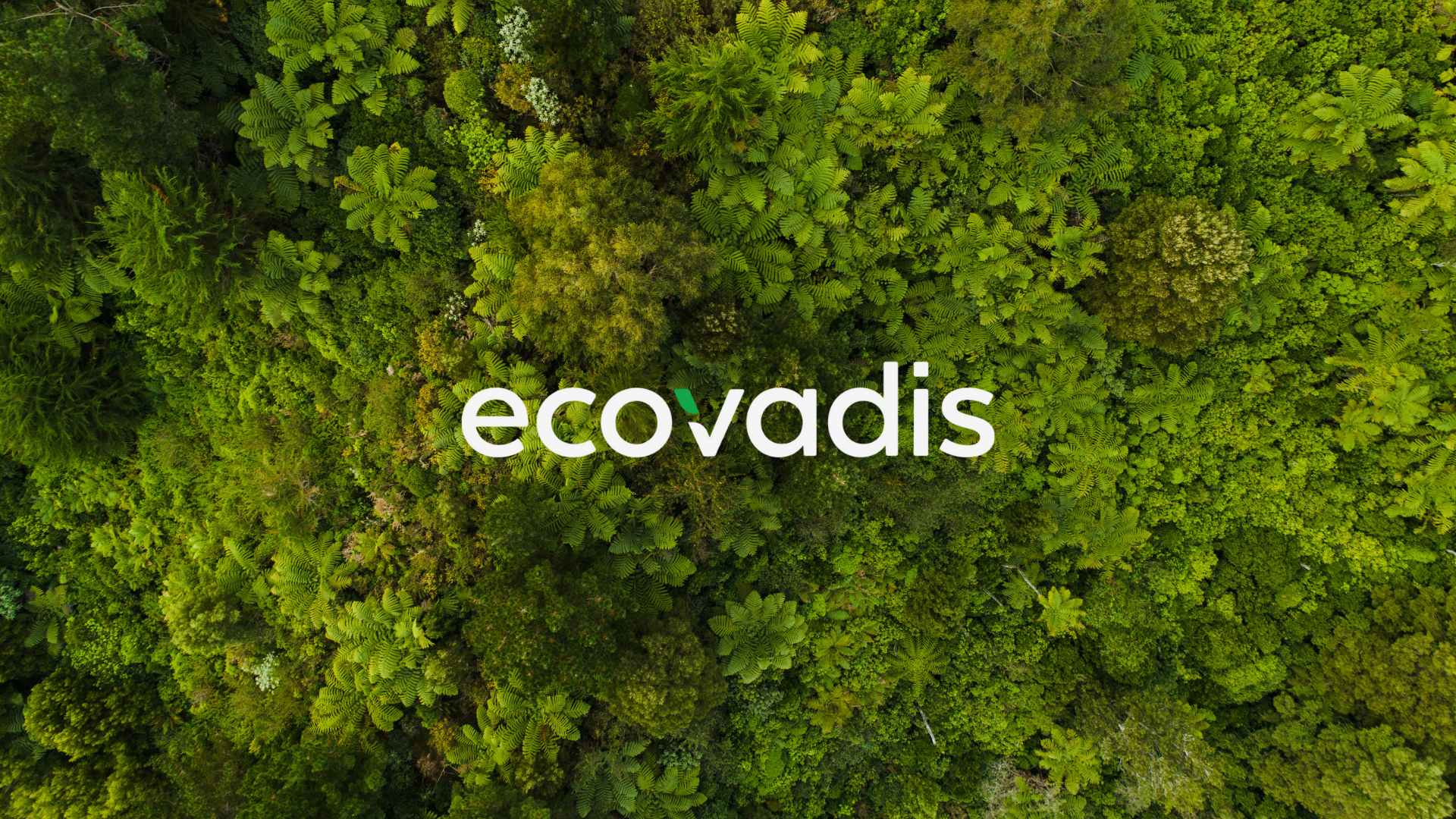 ECOVADİS Belgelendirme ve Danışmanlık